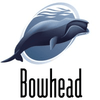 Bowhead logo