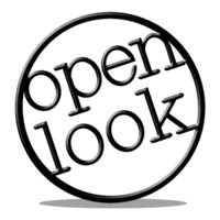 Open Look Business Solutions Inc. logo