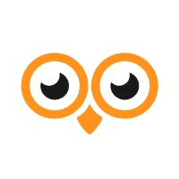 Oowlish Technology logo