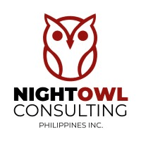 NightOwl Consulting logo
