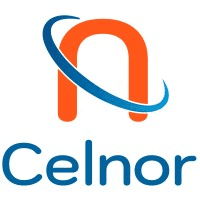 Celnor Group logo