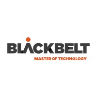 BlackBelt Technology Kft logo
