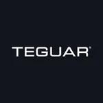 Teguar Corporation logo