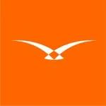 Hawk-Eye Innovations logo