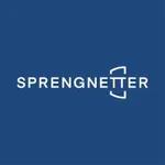 Sprengnetter GmbH logo
