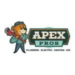 Apex Pros Plumbing, Electrical, Heating and Air logo