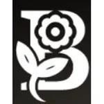 Bloomerang logo