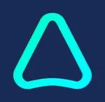Anyone AI logo