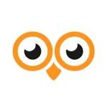 Oowlish Technology logo