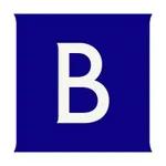Brunswick Group logo