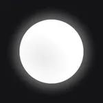 White Circle logo