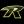 Freedom Power logo