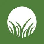Grassroots Analytics logo