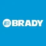 Brady Services logo