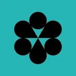 Conduit logo