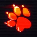 Naughty Dog logo