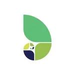 Allora logo