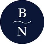 Blue Nile logo