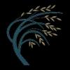 Willow Health logo