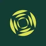 Maximor AI logo