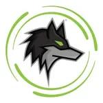 Dark Wolf Solutions logo
