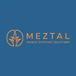 FlexTal Staffing LLC logo